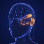 Master Quiz-Disorders